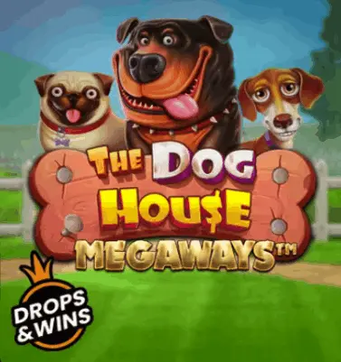Joycasino The Dog House